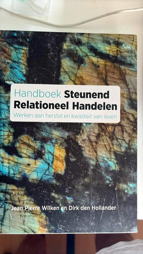 Dirk den Hollander - Handboek steunend relationeel handelen, Boeken, Psychologie, Nieuw, Sociale psychologie, Ophalen of Verzenden