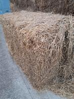 Tarwestro grote balen, Dieren en Toebehoren, Ophalen, Vee