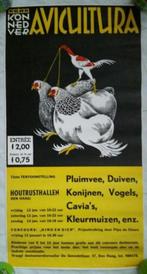 Avicultura poster, 72e Kon Ned Ver, Houtrust hallen Den Haag, Ophalen, Rechthoekig Staand, Nieuw, A1 t/m A3