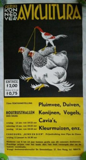 Avicultura poster, 72e Kon Ned Ver, Houtrust hallen Den Haag beschikbaar voor biedingen