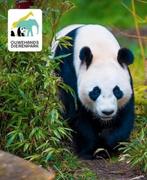 Tickets Ouwehands Dierenpark + gratis parkeren 31-12-2025, Tickets en Kaartjes, Drie personen of meer, Ticket of Toegangskaart