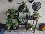 Plantenrek, Ophalen of Verzenden, Zo goed als nieuw, Rond, Minder dan 60 cm