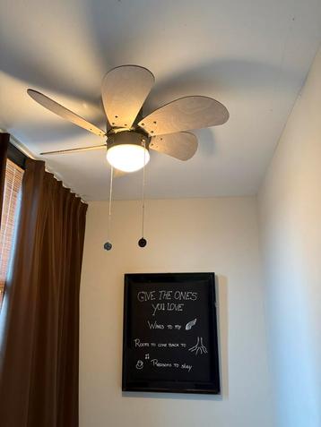 2 Plafondventilatoren met Lamp - Zomerdeal! beschikbaar voor biedingen