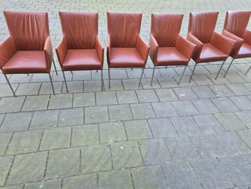 4 Bert Plantagie design Arc leer + 2 gratis eetkamerstoelen beschikbaar voor biedingen