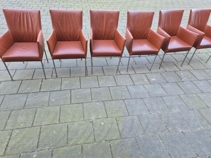 4 Bert Plantagie design Arc leer + 2 gratis eetkamerstoelen, Huis en Inrichting, Stoelen, Gebruikt, Vijf, Zes of meer stoelen