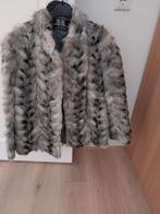 Echte bontjas dames - Stijlvol en warm!, Maat 42/44 (L), Ophalen of Verzenden, Grijs, Onbekend