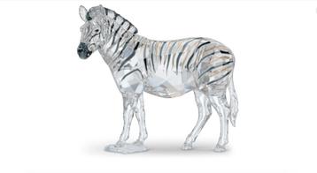 nieuw SCS jaarstuk 2021 zebra Amai  beschikbaar voor biedingen
