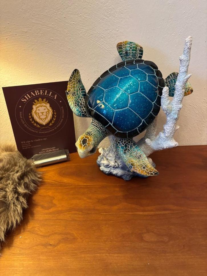Schildpad op kunst koraal .deco, Verzamelen, Beelden en Beeldjes, Nieuw, Dier, Ophalen of Verzenden