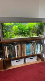 RVS aquarium. Leeees!! Of bellen, Ophalen, Zo goed als nieuw, Gevuld zoetwateraquarium