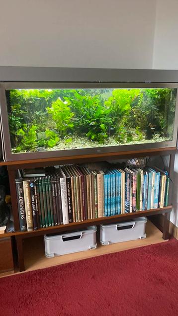 RVS aquarium. Leeees!! Of bellen beschikbaar voor biedingen