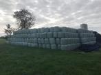 minibalen  kleine ronde wikkel balen bijna hooi minibaal, Dieren en Toebehoren, Ophalen, Vee