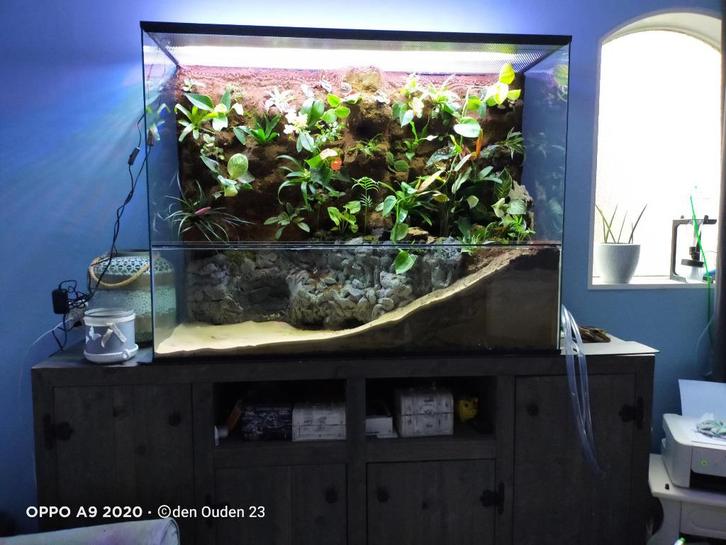Paludarium voor Planten en Dieren – Queenies Glasbouw, Dieren en Toebehoren, Reptielen en Amfibieën | Toebehoren, Nieuw, Terrarium of Paludarium