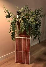 Plantenstandaard, Ophalen, Nieuw