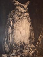 Grote Litho van een Uil oehoe van AJ vanT Hoff, Antiek en Kunst, Ophalen of Verzenden