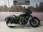 Harley-Davidson Iron 883 Sportster, Motoren, Motoren | Harley-Davidson, Bedrijf, 883 cc, Meer dan 35 kW, Overig