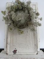 *** 3 Oude Amerikaanse plafondplaten - plafond platen ***, Ophalen of Verzenden