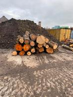 Haardhout stammen, Tuin en Terras, Haardhout, Minder dan 3 m³, Ophalen of Verzenden