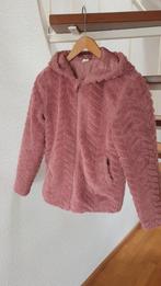 Oudroze Teddy Jas mt.158, Kinderen en Baby's, Kinderkleding | Maat 158, Gebruikt, Meisje, Ophalen of Verzenden, Hema