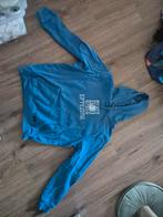 Winter Efteling trui maat L - Zo goed als nieuw!, Kleding | Dames, Ophalen of Verzenden, Zo goed als nieuw