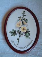 Plateelbakkerij Schoonhoven met Althaea Rosea Cavanilles, Ophalen of Verzenden, Zo goed als nieuw