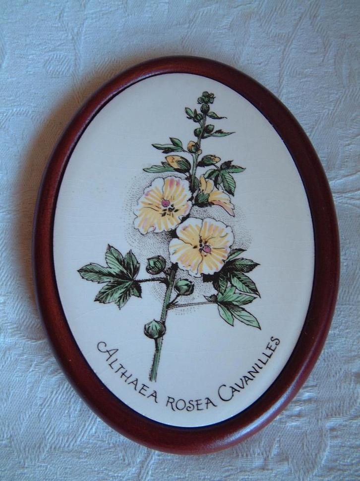 Plateelbakkerij Schoonhoven met Althaea Rosea Cavanilles, Verzamelen, Overige Verzamelen, Zo goed als nieuw, Ophalen of Verzenden