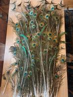 Pauwenveren, Huis en Inrichting, Woonaccessoires | Droogbloemen, Ophalen of Verzenden