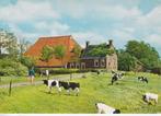 D258 ansichtkaart mooi friesland kop hals romp boerderij, Ophalen of Verzenden, 1960 tot 1980, Ongelopen, Friesland