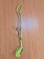 Nekrope met veren, Verzenden, Nieuw, Overige soorten