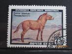 POSTZEGEL  RUSLAND - PAARD   =3810=, Postzegels en Munten, Postzegels | Europa | Rusland, Ophalen of Verzenden, Gestempeld