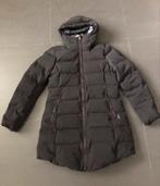 Gaastra Warme donsjas - wind- en waterdicht maat L, Kleding | Dames, Jassen | Winter, Gaastra, Zwart, Maat 42/44 (L), Ophalen of Verzenden