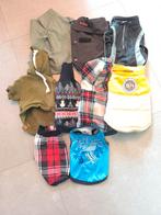 Hondenkleding kleine hond 24cm, Dieren en Toebehoren, Ophalen, Zo goed als nieuw, Hondenjas