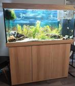 Juwel aquarium  met kast 121cm binnen en buiten filter, Ophalen, Zo goed als nieuw, Gevuld zoetwateraquarium