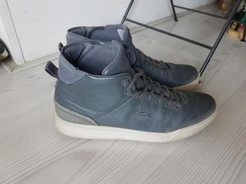 Lacoste heren sneakers in maat 41 beschikbaar voor biedingen