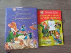 Geronimo Stilton - Geronimo's Sprookjesboek, Geronimo Stilton, Ophalen of Verzenden, Zo goed als nieuw, Sprookjes