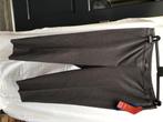 Dames broek van Setter donker grijs,nieuw, Ophalen of Verzenden, Nieuw, Grijs, Lang