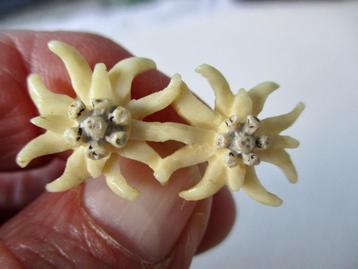 EDELWEISS Broche dubbel model, creme wit van kleur beschikbaar voor biedingen