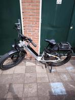 Radrhino 6 plus (lage instap), Fietsen en Brommers, Elektrische fietsen, Ophalen, Zo goed als nieuw, 50 km per accu of meer, Overige merken