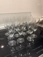 12 Champagneglazen - 7cm Hoog, Ophalen, Gebruikt, Glas, Glas of Glazen