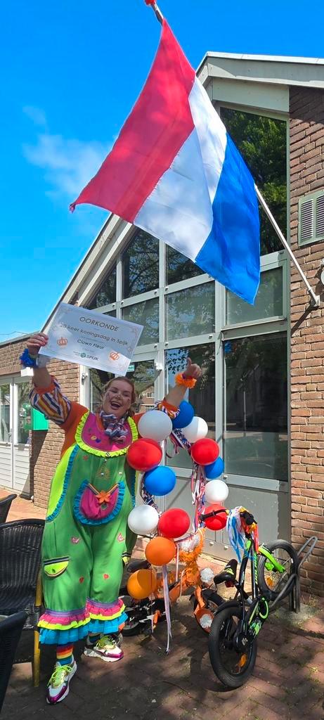 Oranje vereniging: Koningsdag kinderfeest clown/entertainer, Hobby en Vrije tijd, Feestartikelen, Nieuw, Overige, Ophalen of Verzenden