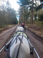 Verzorgpony aangeboden., Dieren en Toebehoren, Paarden en Pony's | Overige Paardenspullen, Ophalen of Verzenden, Zo goed als nieuw