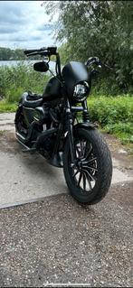 Harley davidson sportsterxl costum, Particulier, 2 cilinders, 883 cc, Chopper