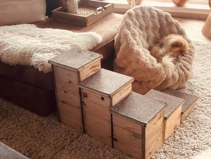 Honden trap NIEUW!!, Dieren en Toebehoren, Overige Dieren-accessoires, Nieuw, Ophalen