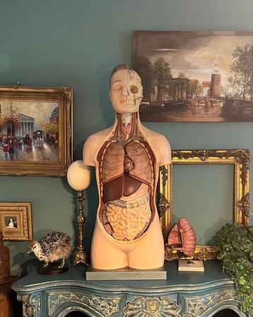 Zeldzaam Torso jaren 50 Biokosmos Antwerpen  beschikbaar voor biedingen