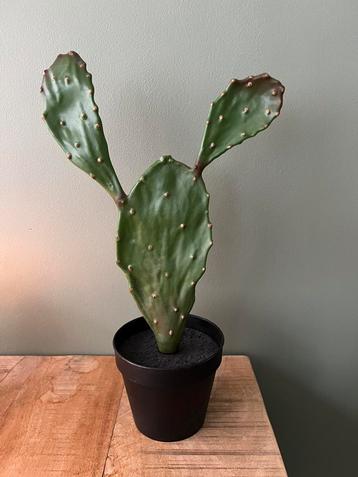 Ikea kunst cactus bunny ears beschikbaar voor biedingen