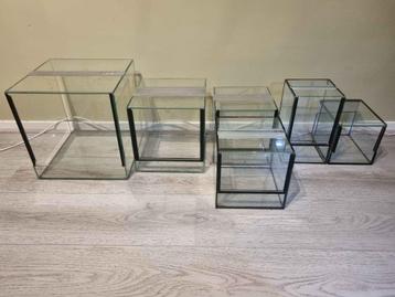 Terrarium x6 beschikbaar voor biedingen