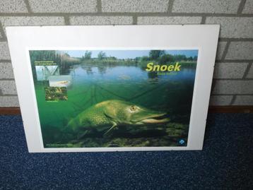 Mooi wissel fotolijst met de poster van de snoek. beschikbaar voor biedingen