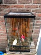 Klein terrarium, Dieren en Toebehoren, Ophalen, Gebruikt, Terrarium of Paludarium