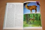 Europese zoogdieren - Natuurgids in kleur, Boeken, Ophalen of Verzenden, Gelezen, Vogels