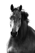 Medewerker stal gevraagd