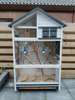 Volière met 5 grasparkieten., Ophalen, Zo goed als nieuw, Volière